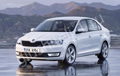 Купить глушитель, катализатор, пламегаситель Skoda Rapid в Москве